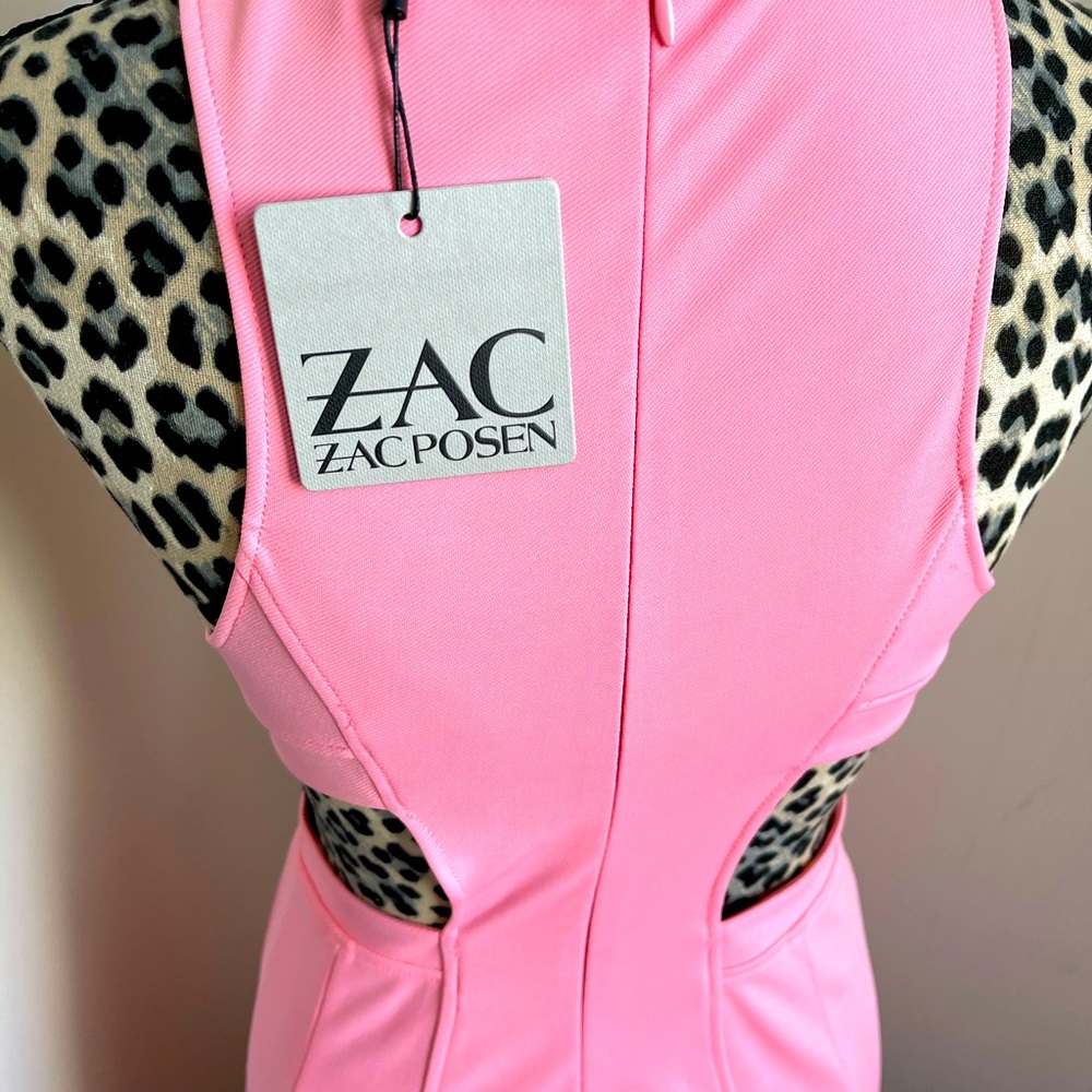 Zac Posen pretty pink dress.